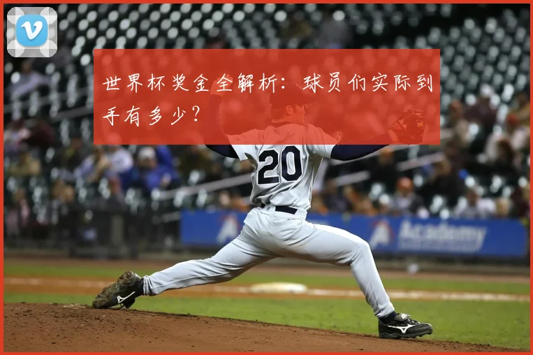 世界杯奖金全解析：球员们实际到手有多少？