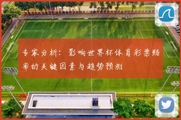 专家分析：影响世界杯体育彩票赔率的关键因素与趋势预测