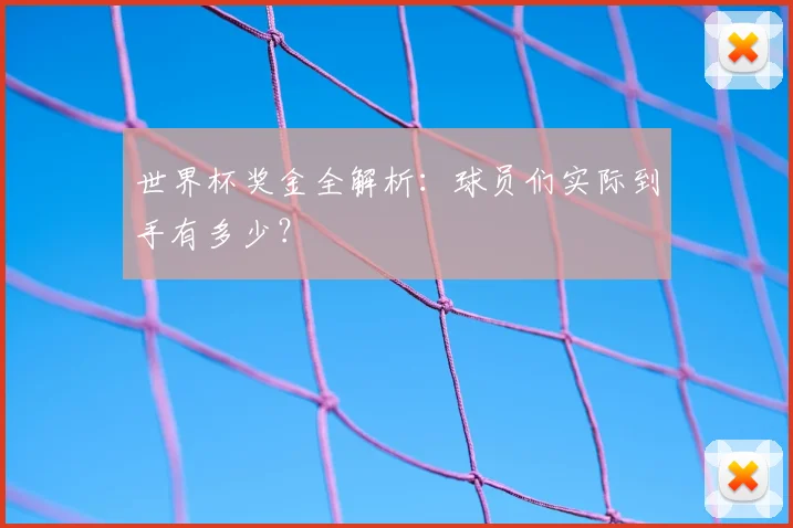 世界杯奖金全解析：球员们实际到手有多少？