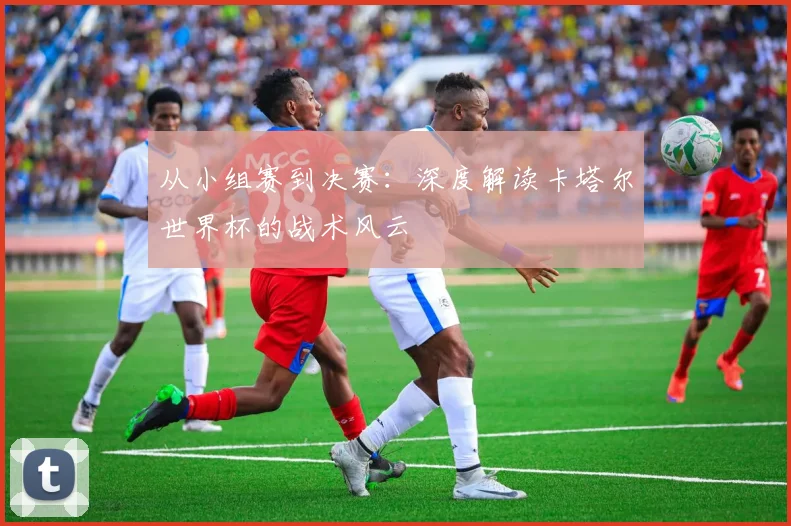 从小组赛到决赛：深度解读卡塔尔世界杯的战术风云