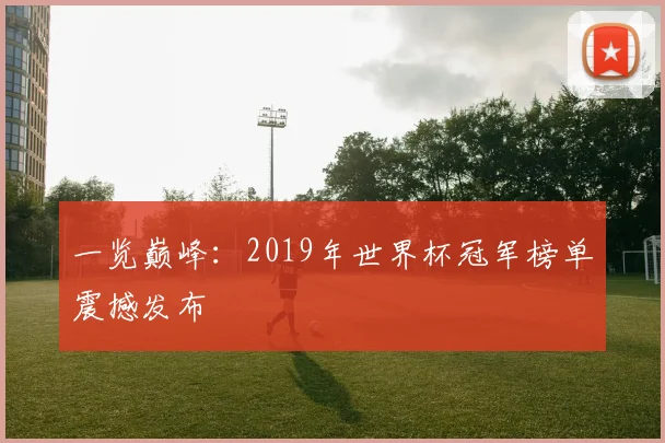 一览巅峰：2019年世界杯冠军榜单震撼发布