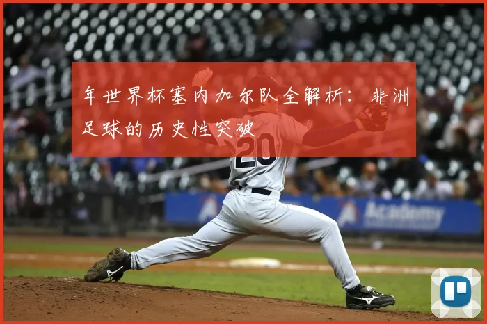 年世界杯塞内加尔队全解析：非洲足球的历史性突破