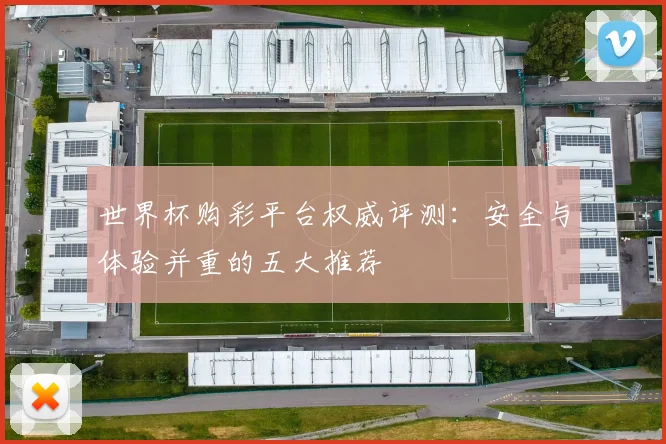 世界杯购彩平台权威评测:安全与体验并重的五大推荐