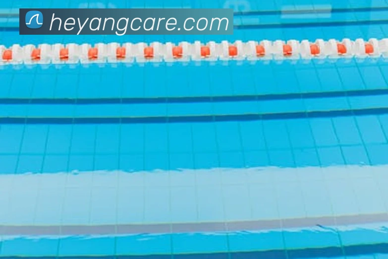 开云手机在线登陆入口服务体系